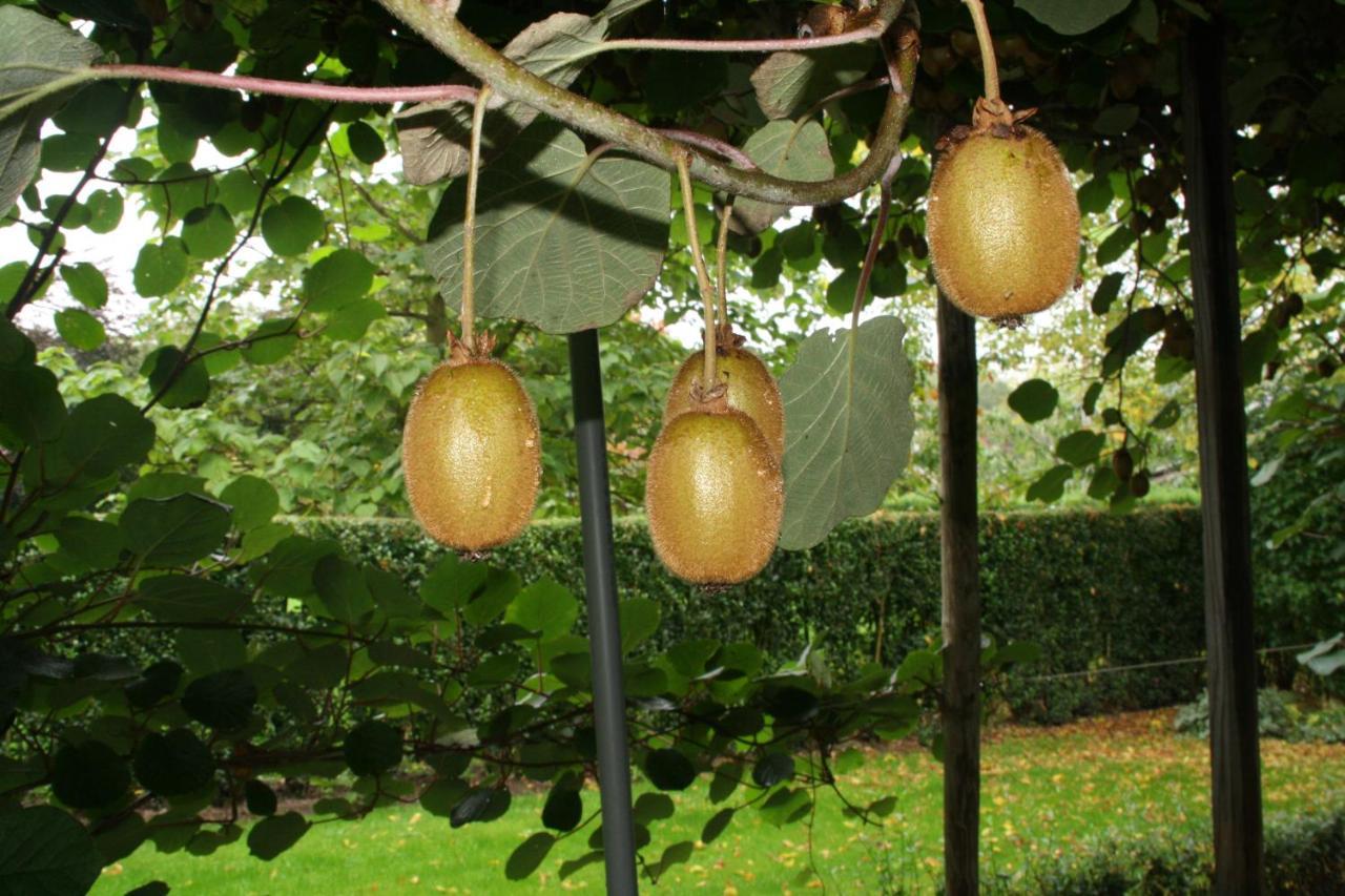 Beuningen  B&B De Sprokkeltuin المظهر الخارجي الصورة
